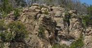 vanderpool_coverage_area_terrain_11960