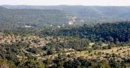 vanderpool_coverage_area_terrain_11986
